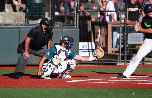 Matt James – Bellingham Bells catcher