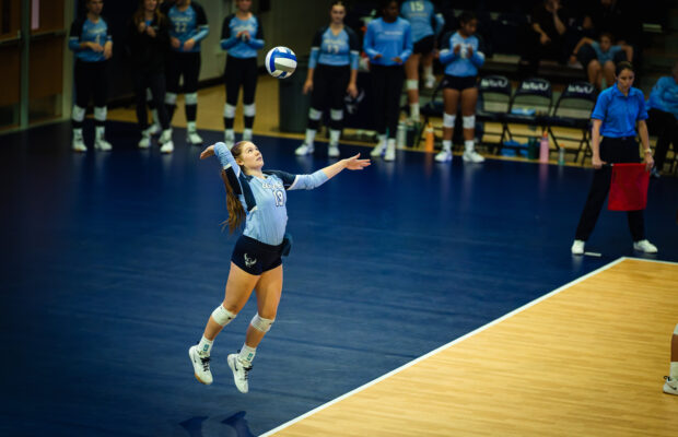 Adele Holland: WWU Volleyball